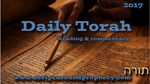 What Is The Weekly Torah Portion?